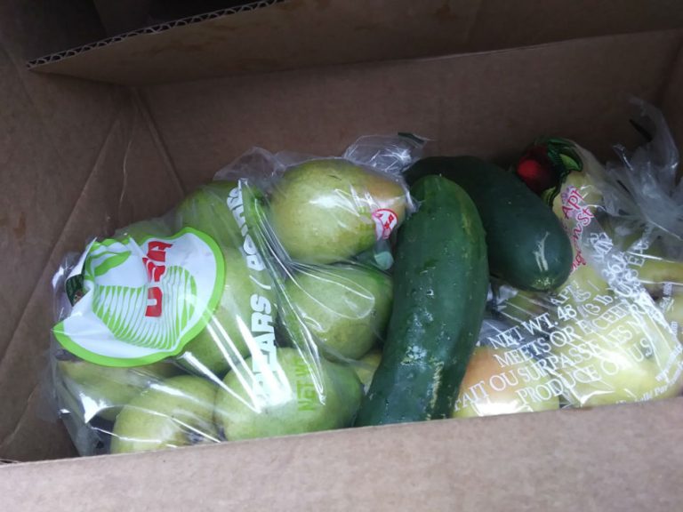 We continue distributing food. – Albertville, AL